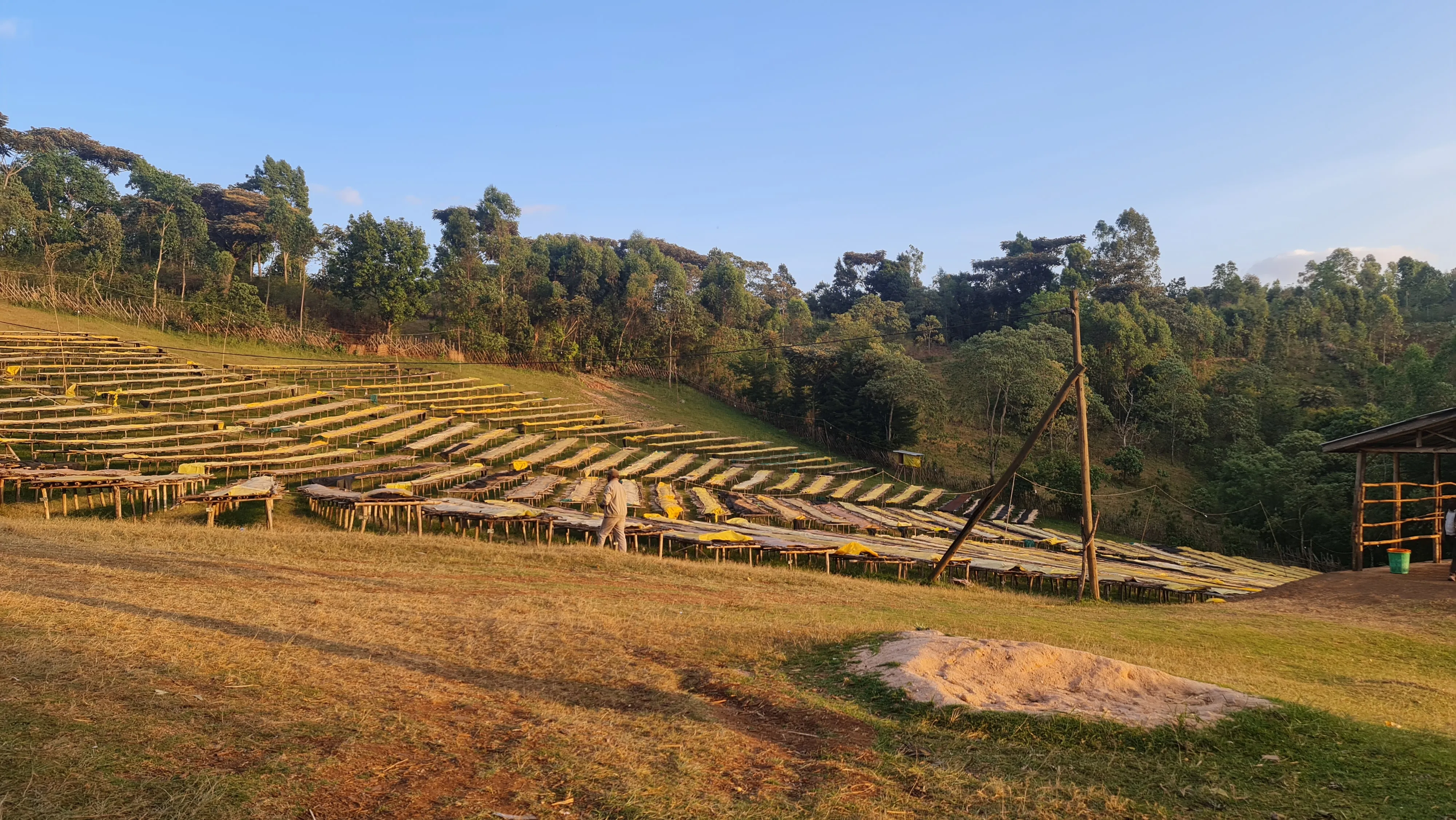 Specialty Coffee & Artisanal Coffee Wine